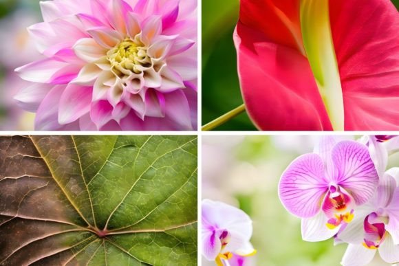 46 Organic Botanical Backgrounds for Authentic Design